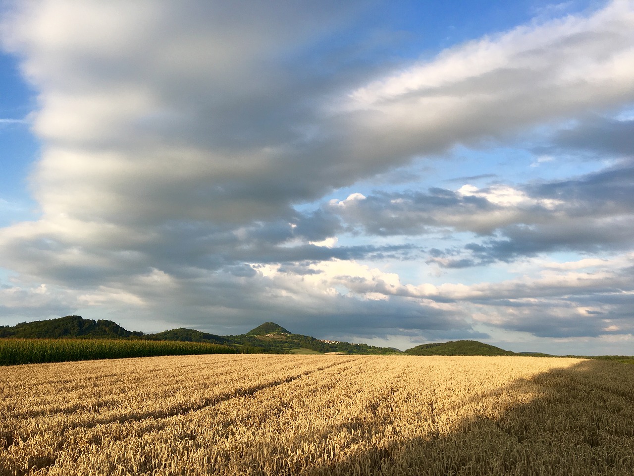 Image - hohenstaufen oesel barley field sky