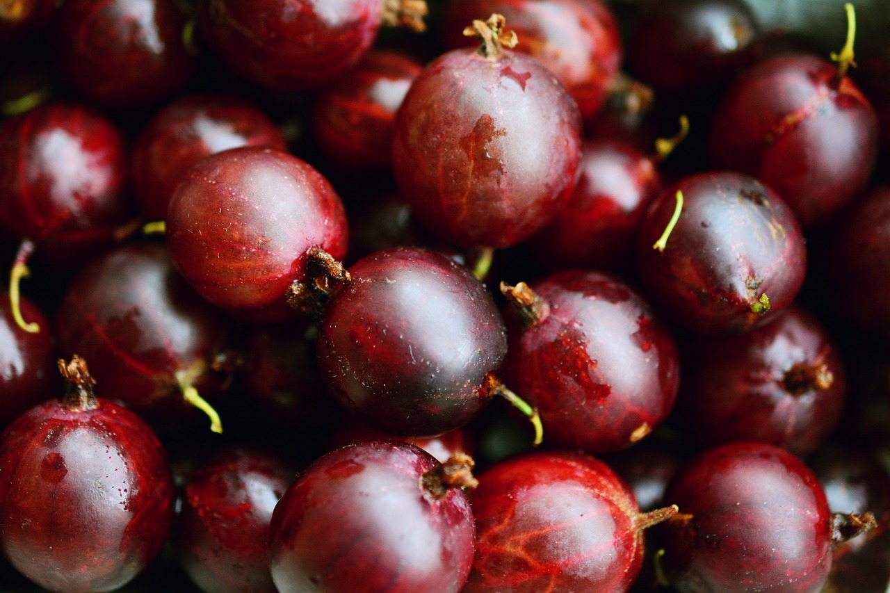 Image - gooseberries red gooseberries fruits