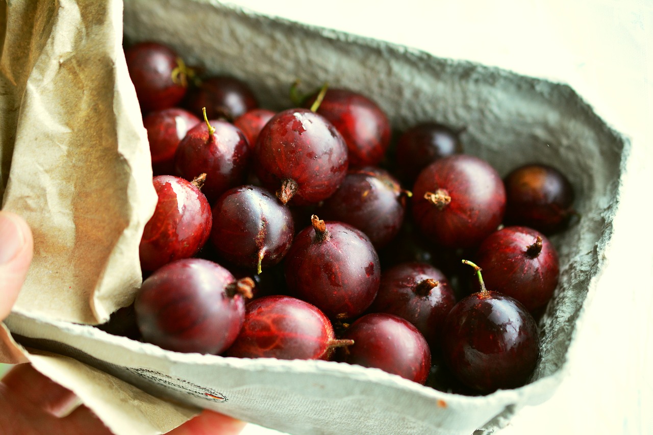 Image - gooseberries red gooseberries fruits