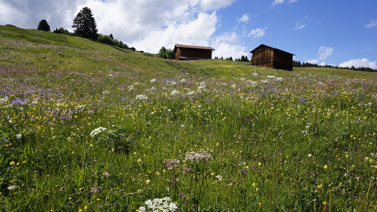 Image - switzerland meadow alpine hut