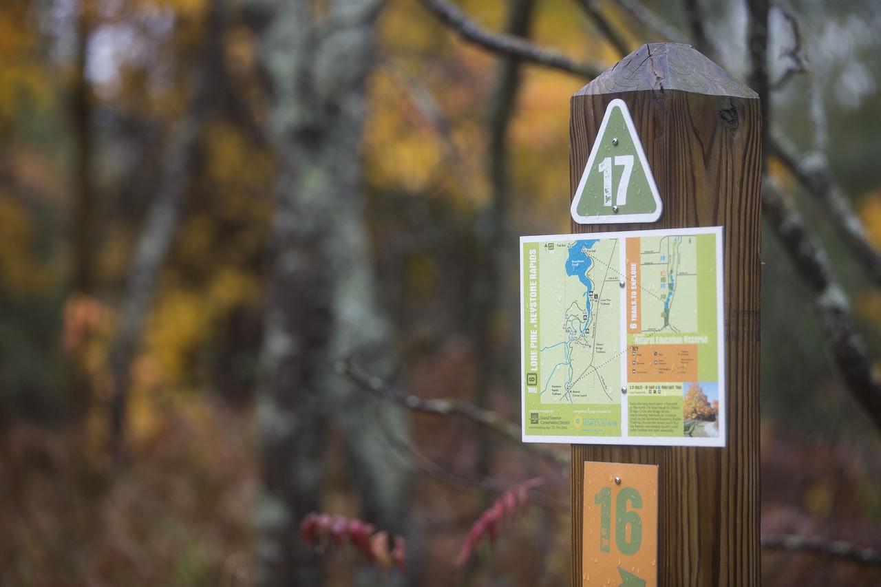 Image - map rustic sign forest fall