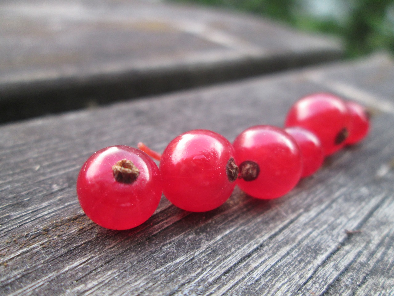 Image - currant red currant garden summer