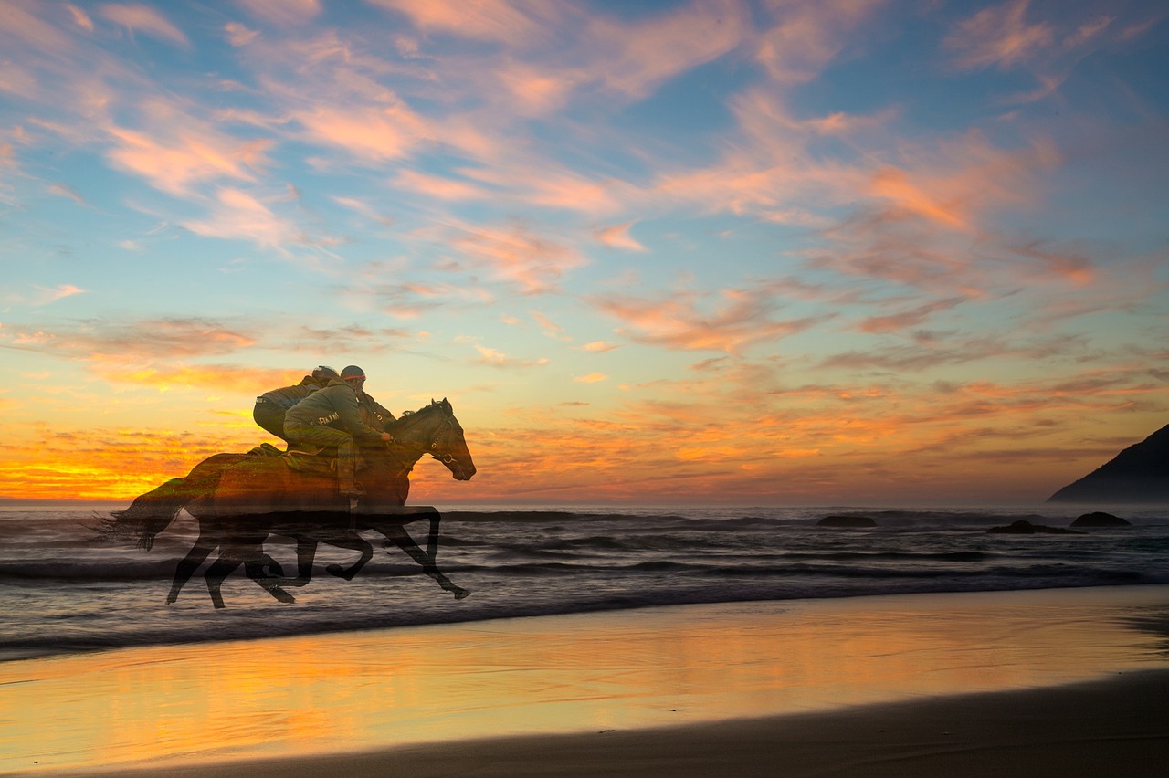 Image - sunset racing horses beach sport