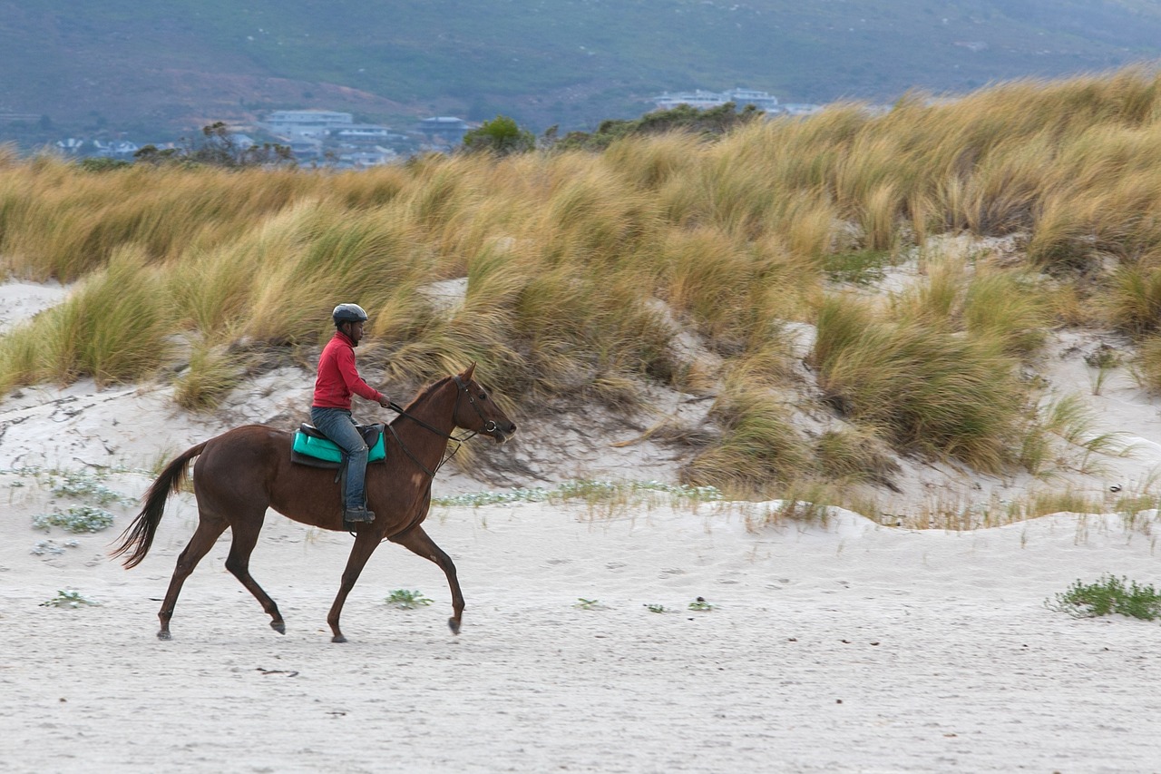 Image - horse rider beach equestrian