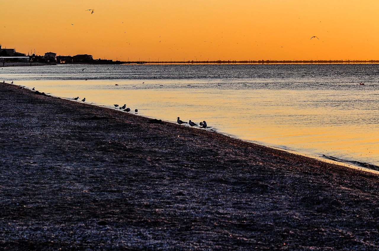 Image - sea sunset orange gulls horizon