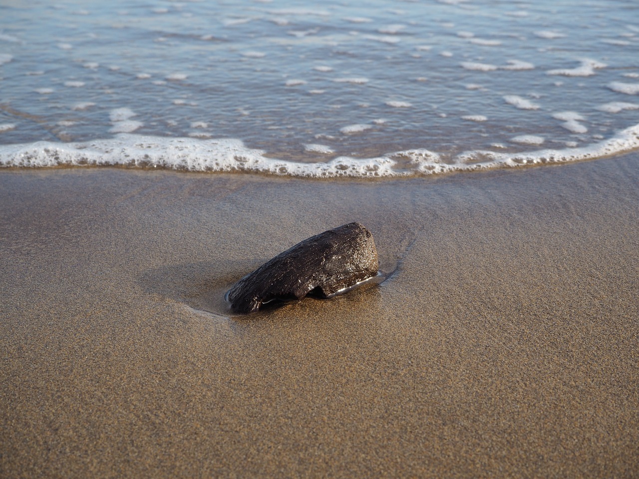 Image - sea italy drift wood summer sand