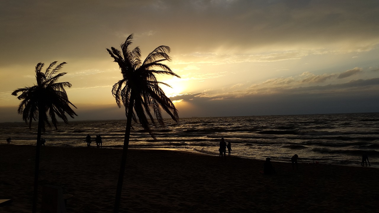 Image - beach palm sea sunset holiday