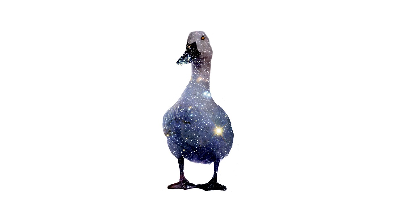 Image - duck farm cosmic birds edit star