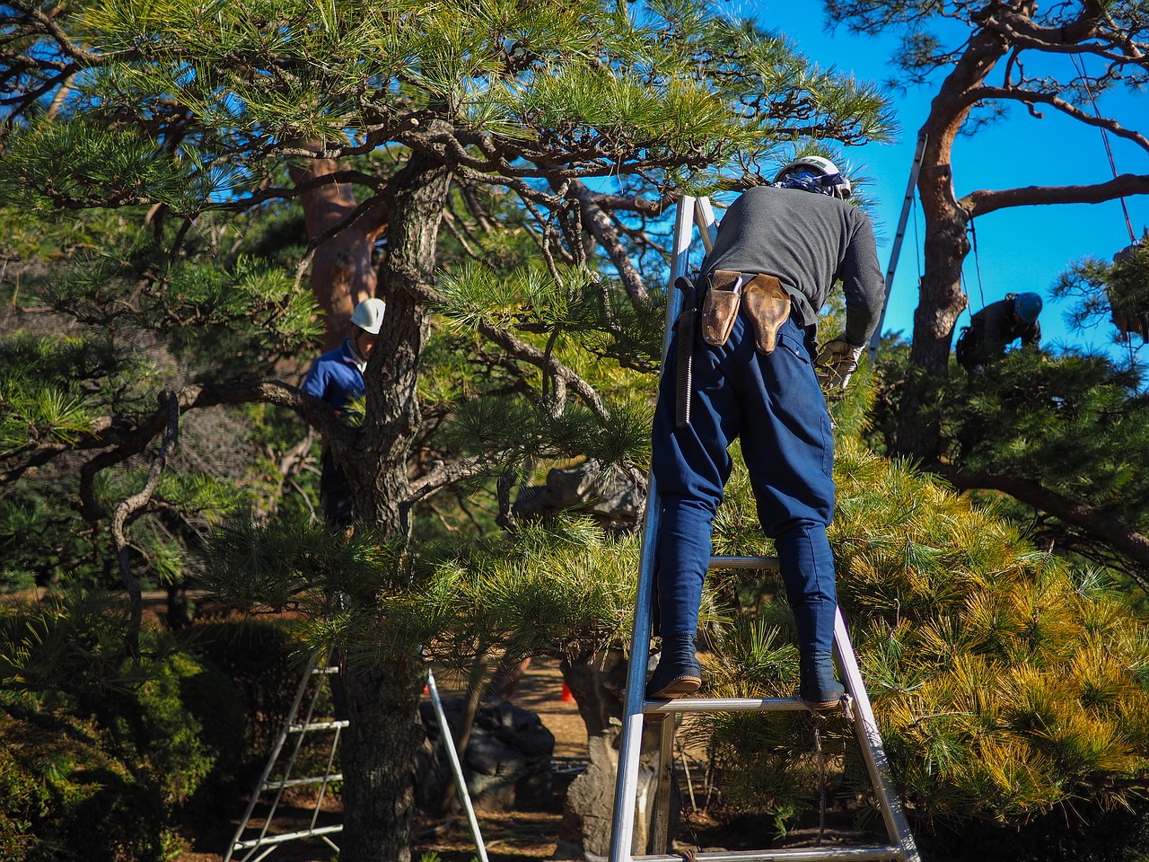 Image - worker laborer tree garden