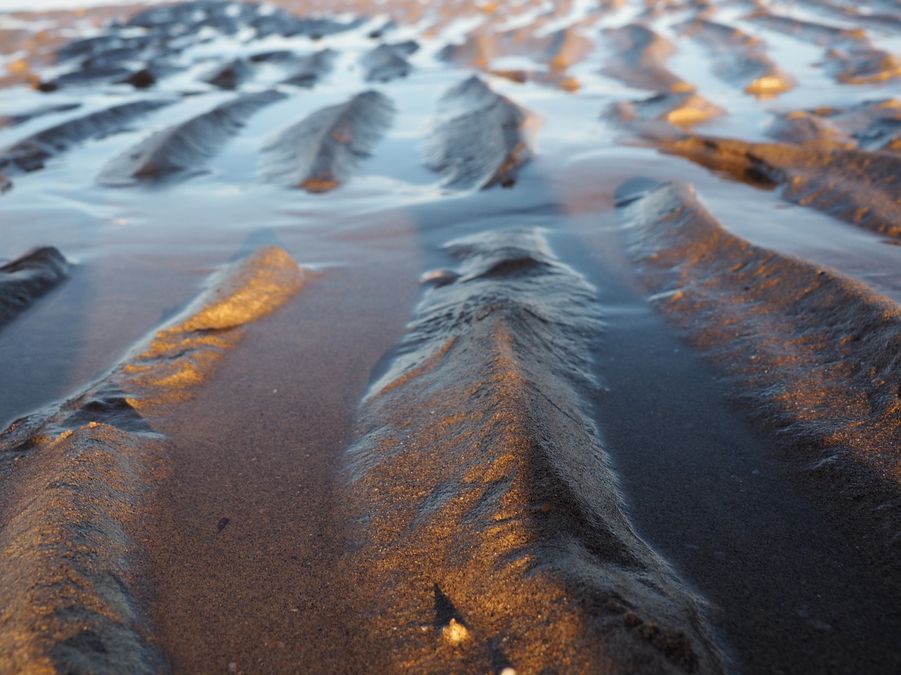 Image - ebb flood water watts mood