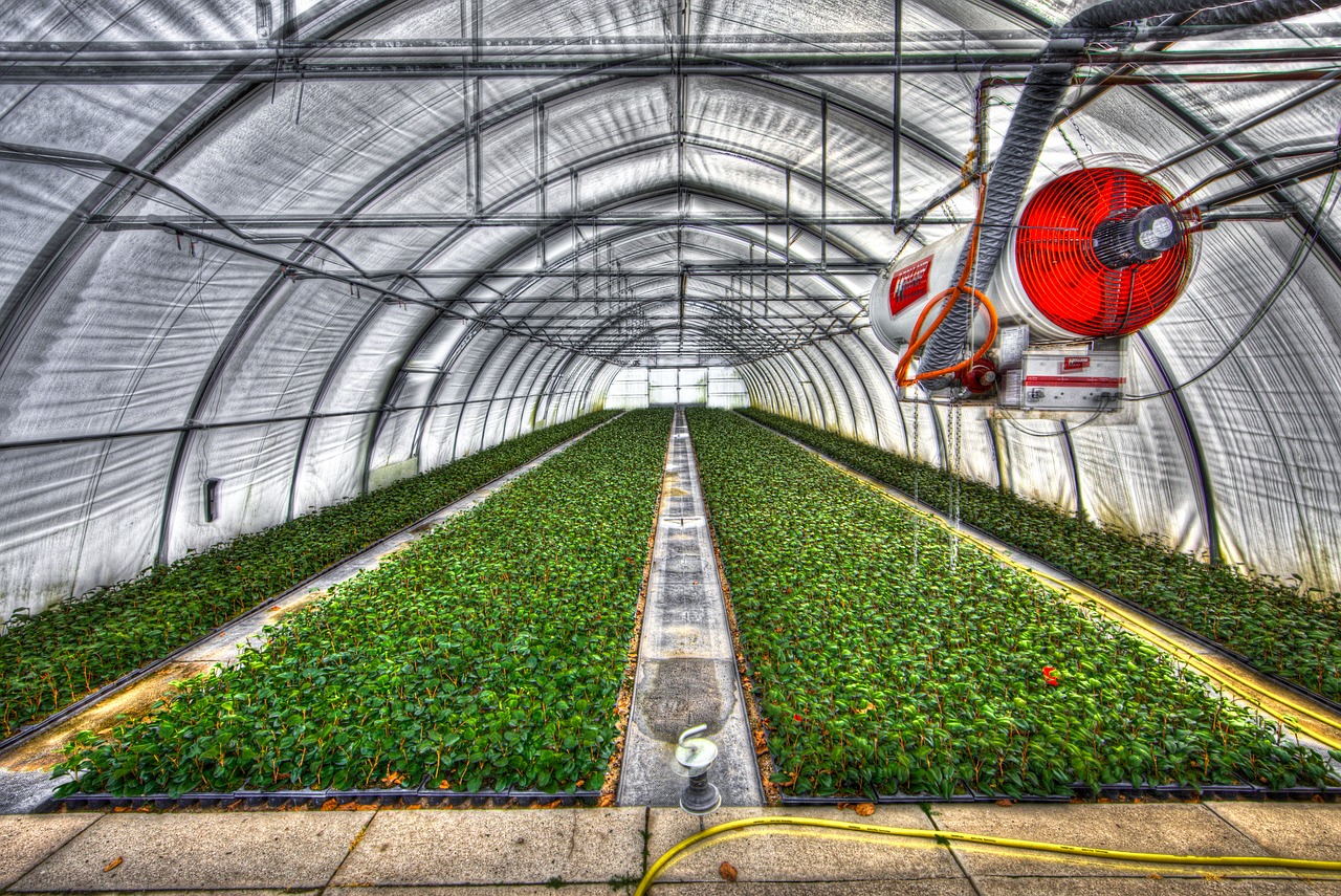 Image - greenhouse slide tunnel crops