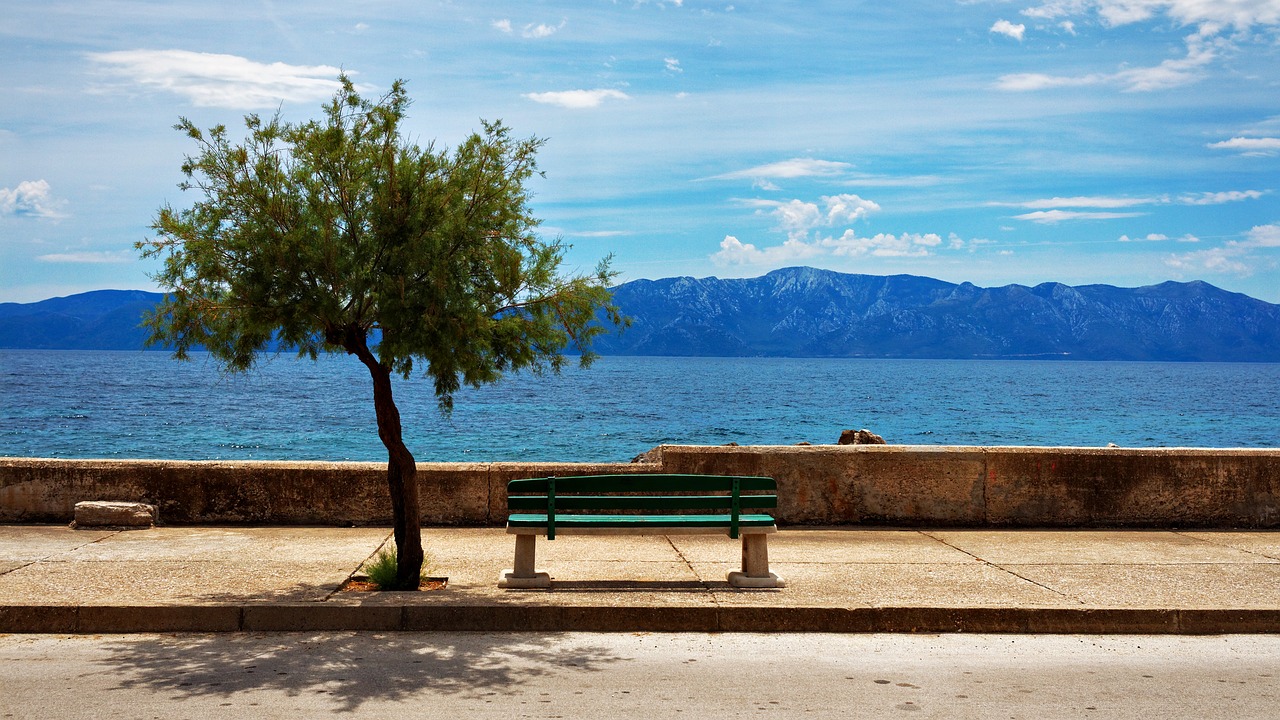 Image - bench tree sea coast beach