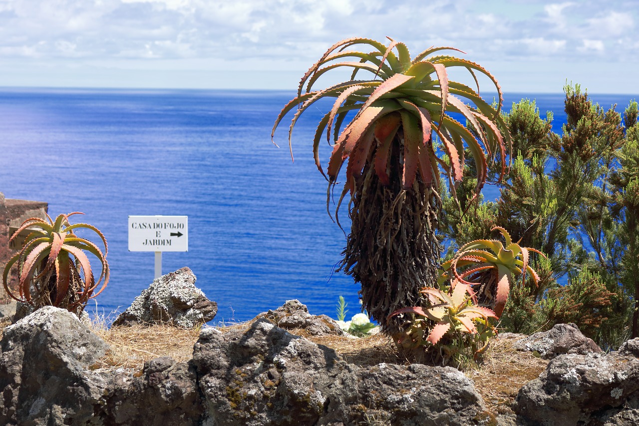 Image - comanche azores são miguel trail