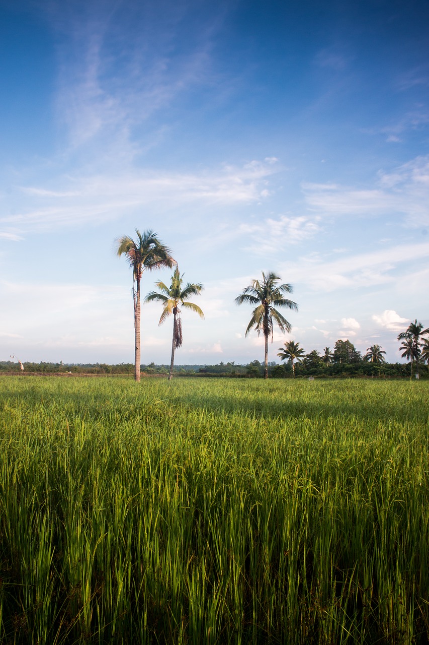 Image - landscape ternate east indonesia