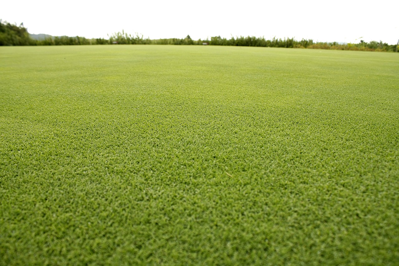 Image - grass pool summer golf course grass