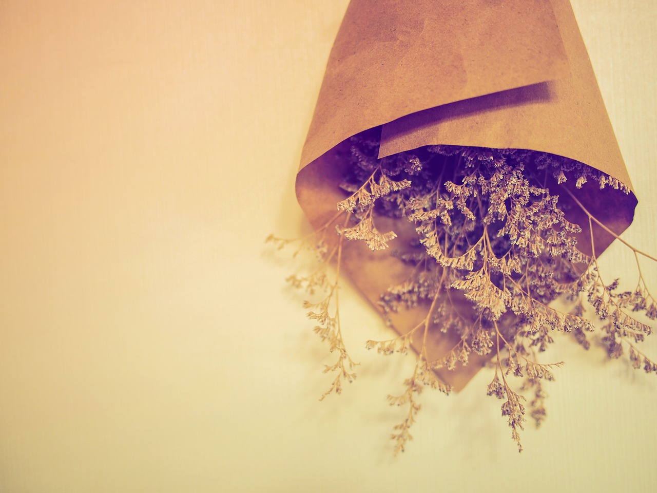 Image - flower calm wall vintage