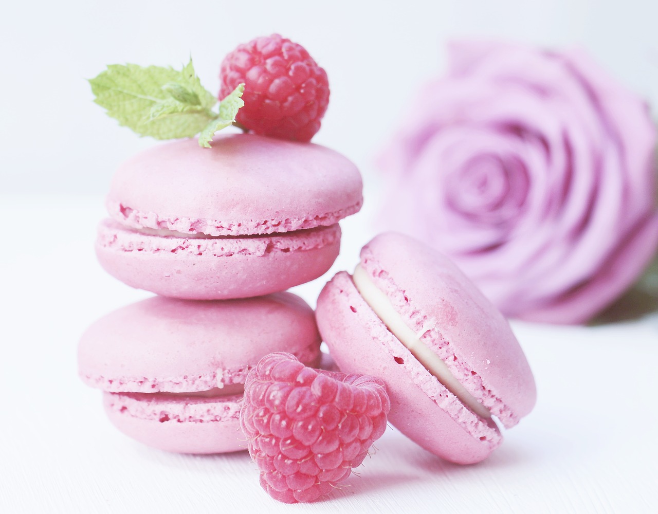 Image - macarons rose rose bloom