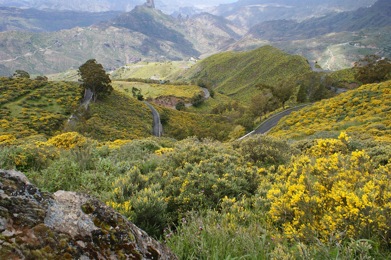 Image - road terrain countryside