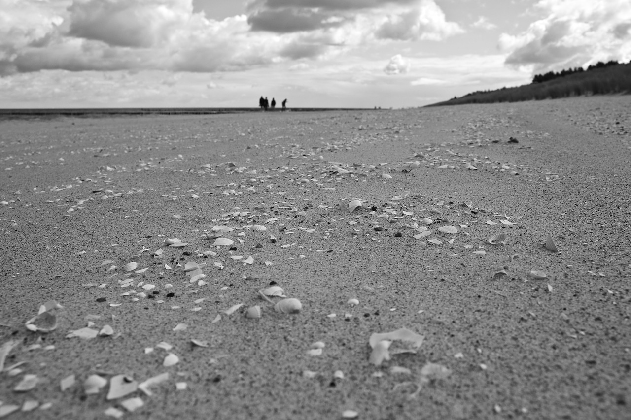 Image - darß baltic sea island beach coast