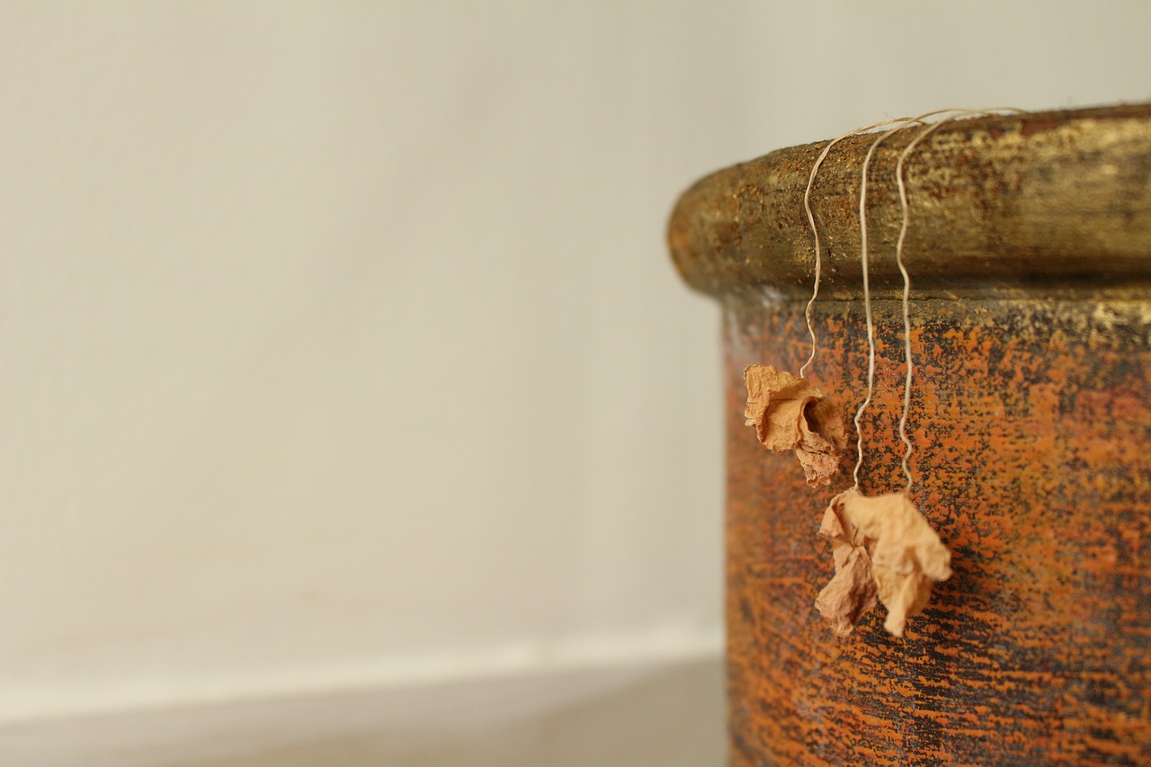 Image - dried leaves background flower pot