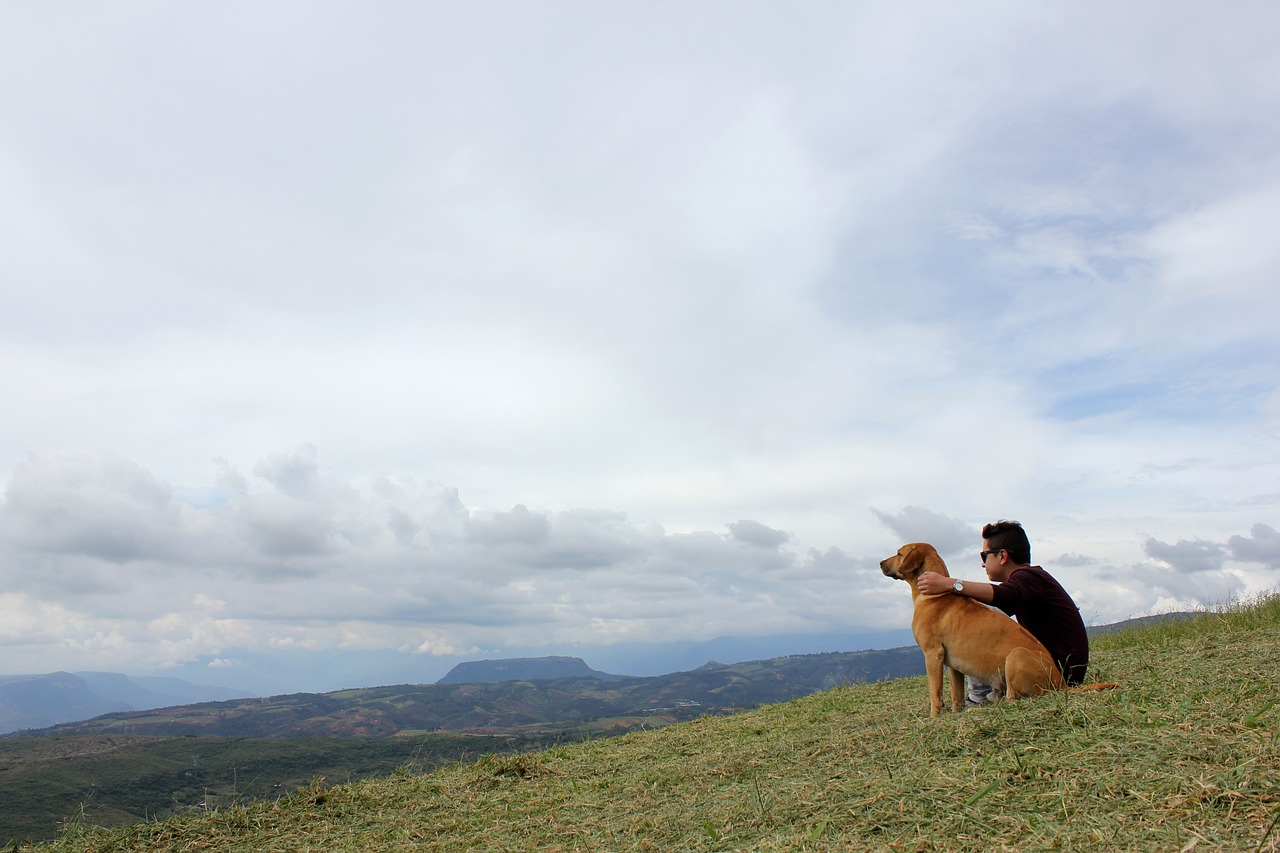 Image - cannon of the chicamocha santander