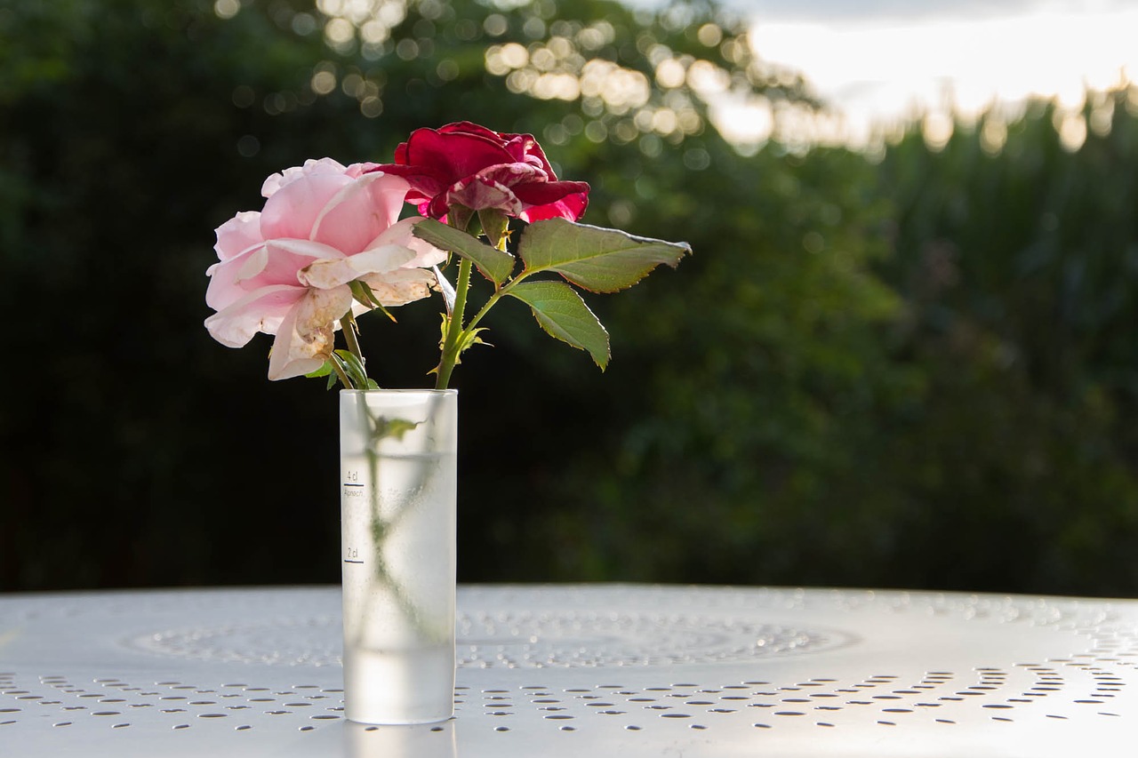 Image - vase flowers roses nature bouquet