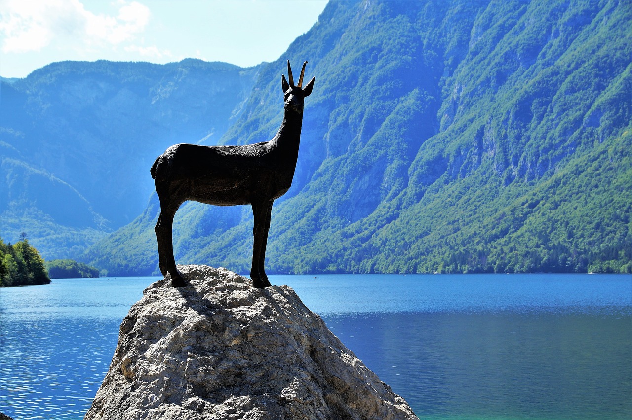 Image - bohinj lake bohinj bohinj lake