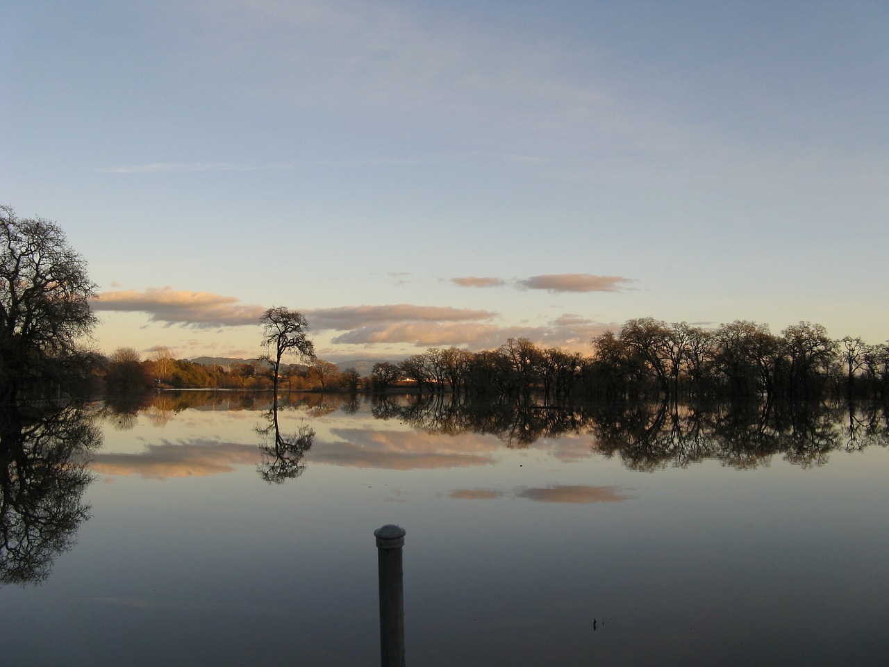 Image - trees flooded clouds landscape wet