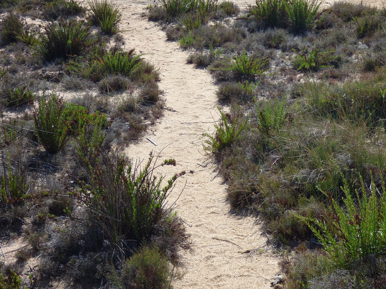 Image - away beach sand nature landscape