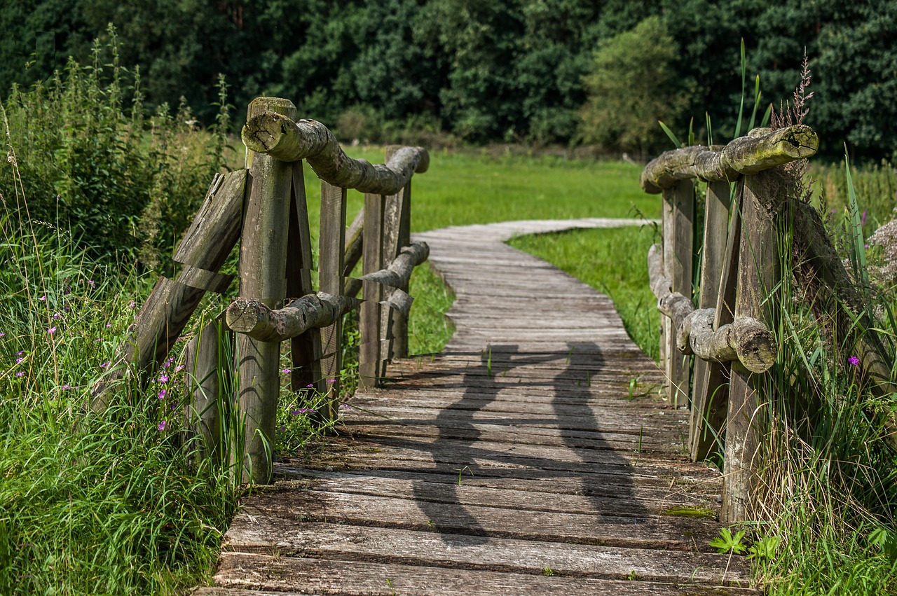 Image - bridge wood meadow wooden bridge