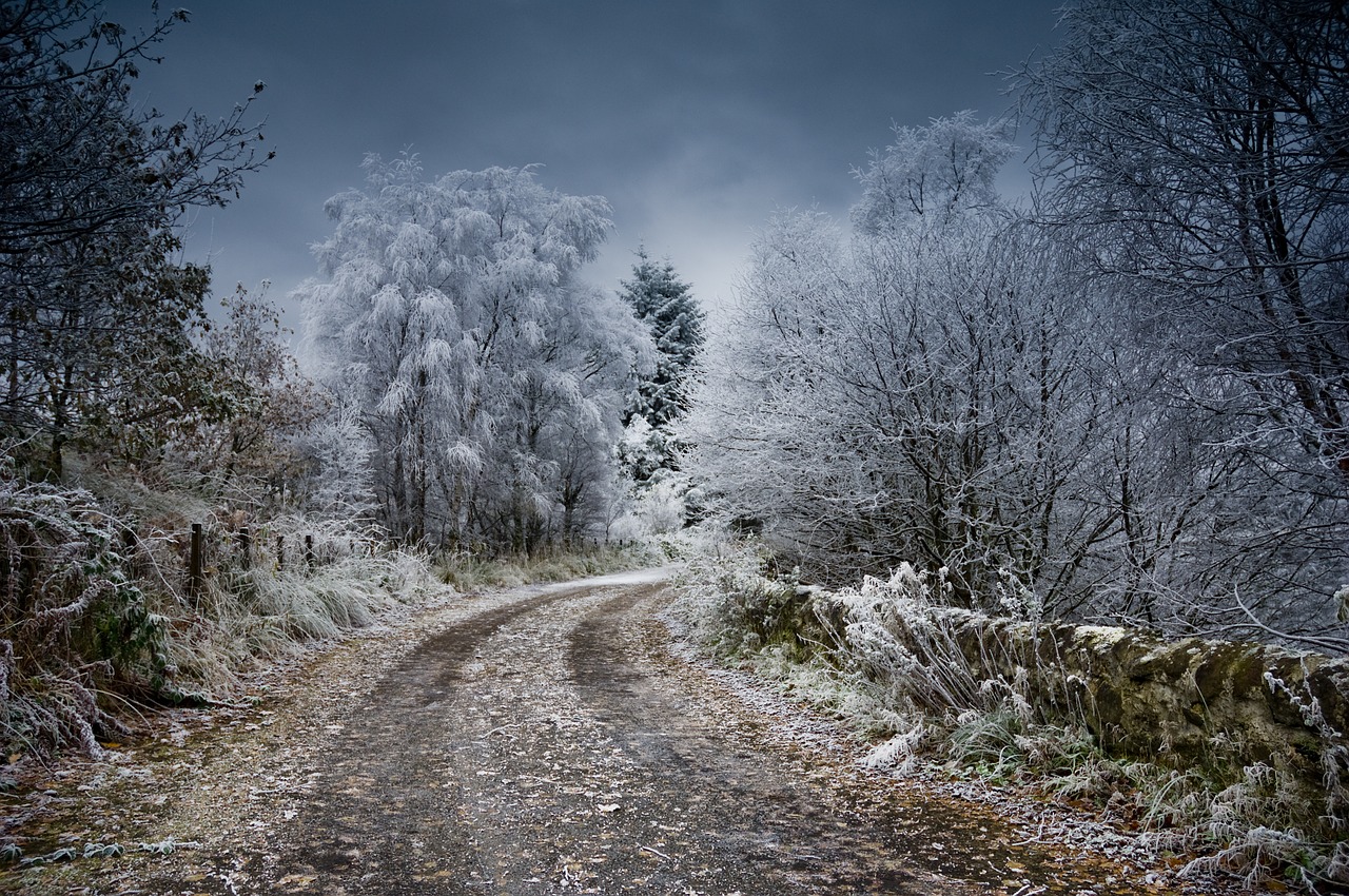 Image - frost scotland winter snow nature