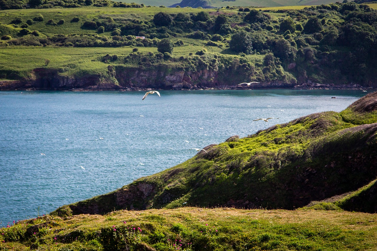 Image - coast brixham devon berry head sea