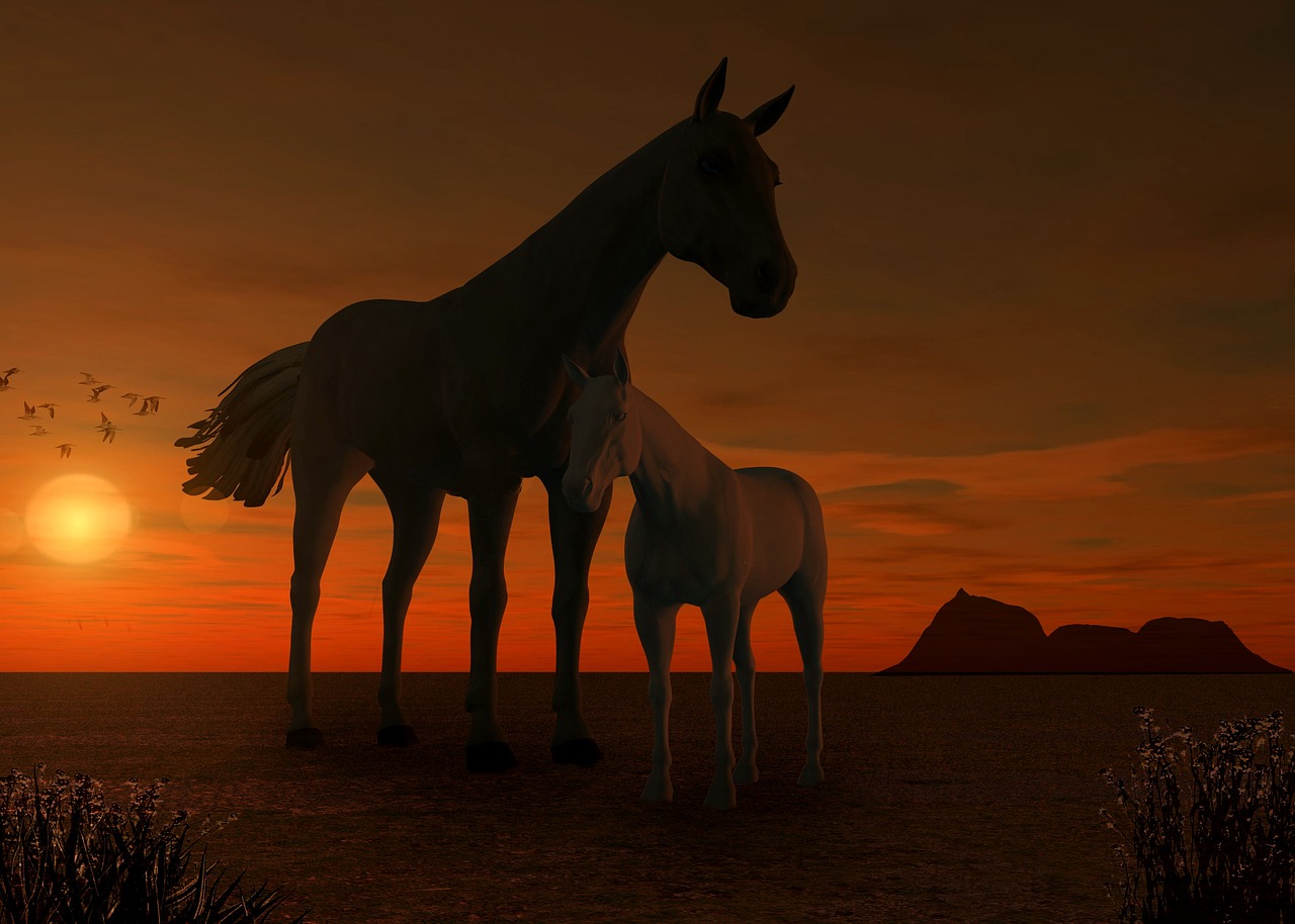 Image - horses sunset dusk mood silhouette