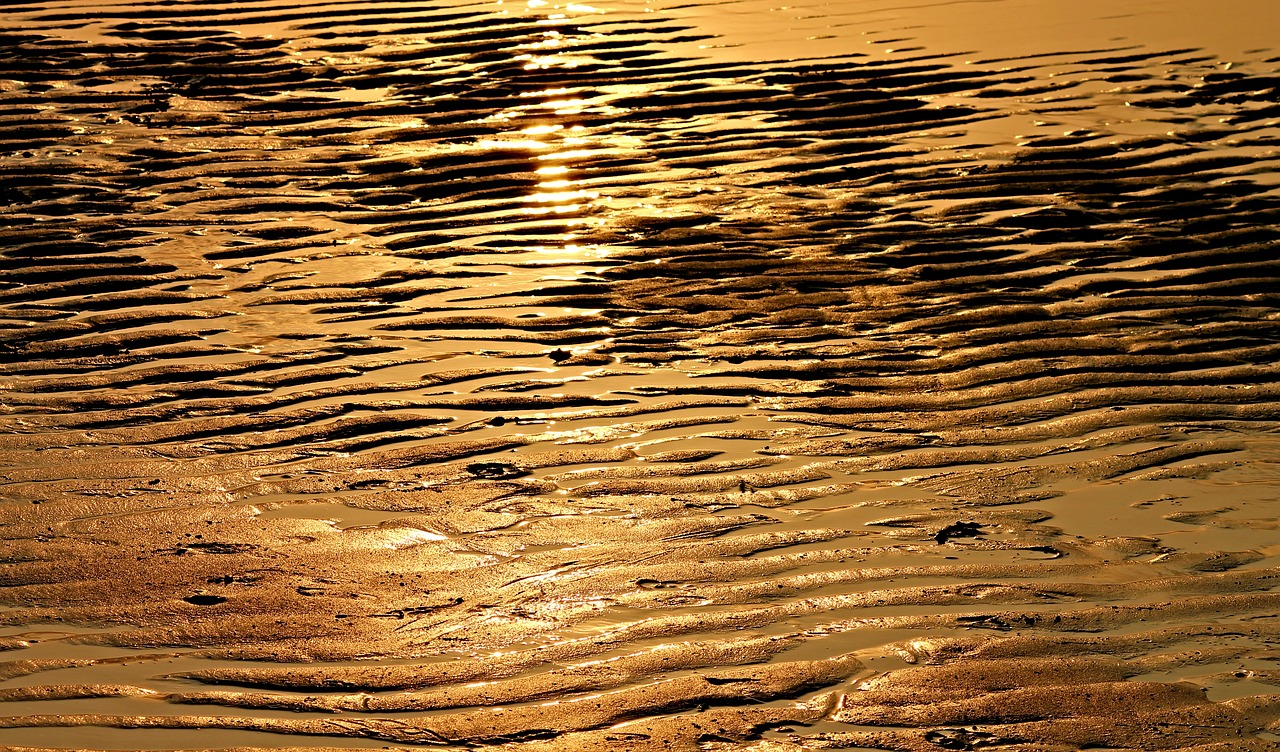 Image - beach ebb sunlight wave