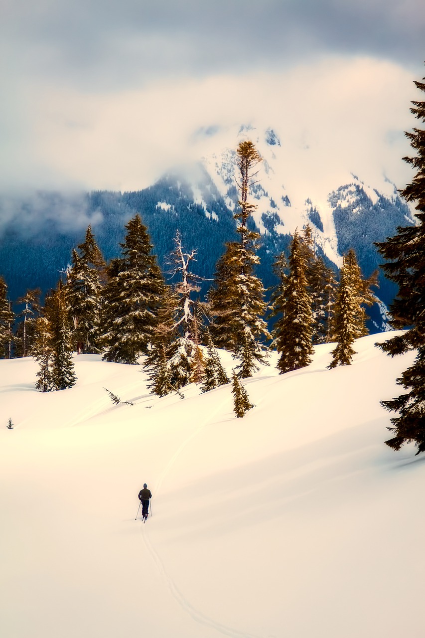 Image - washington usa landscape winter