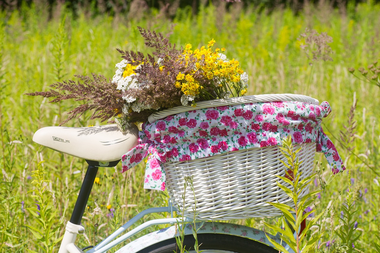 Image - bicycle summer basket cycle ride