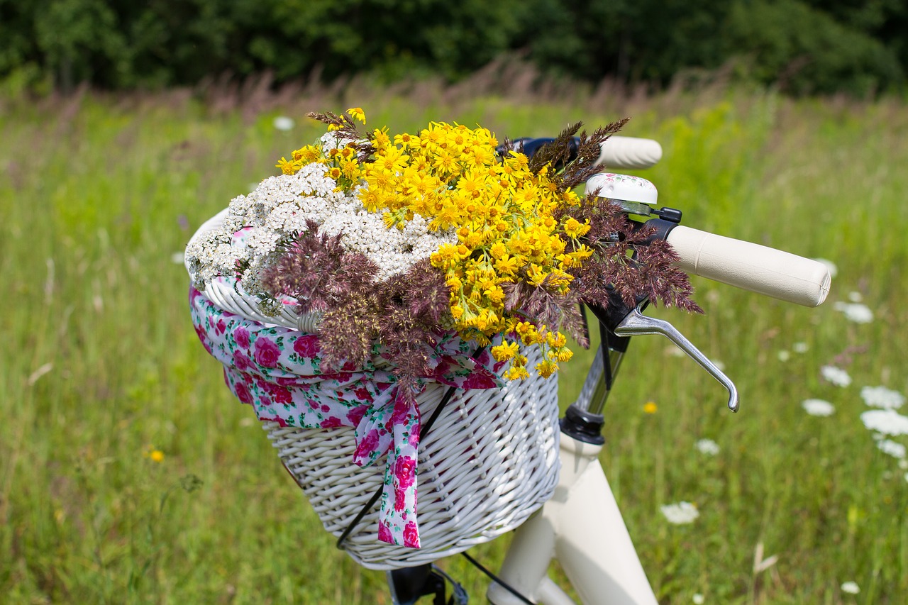 Image - bicycle summer basket cycle ride