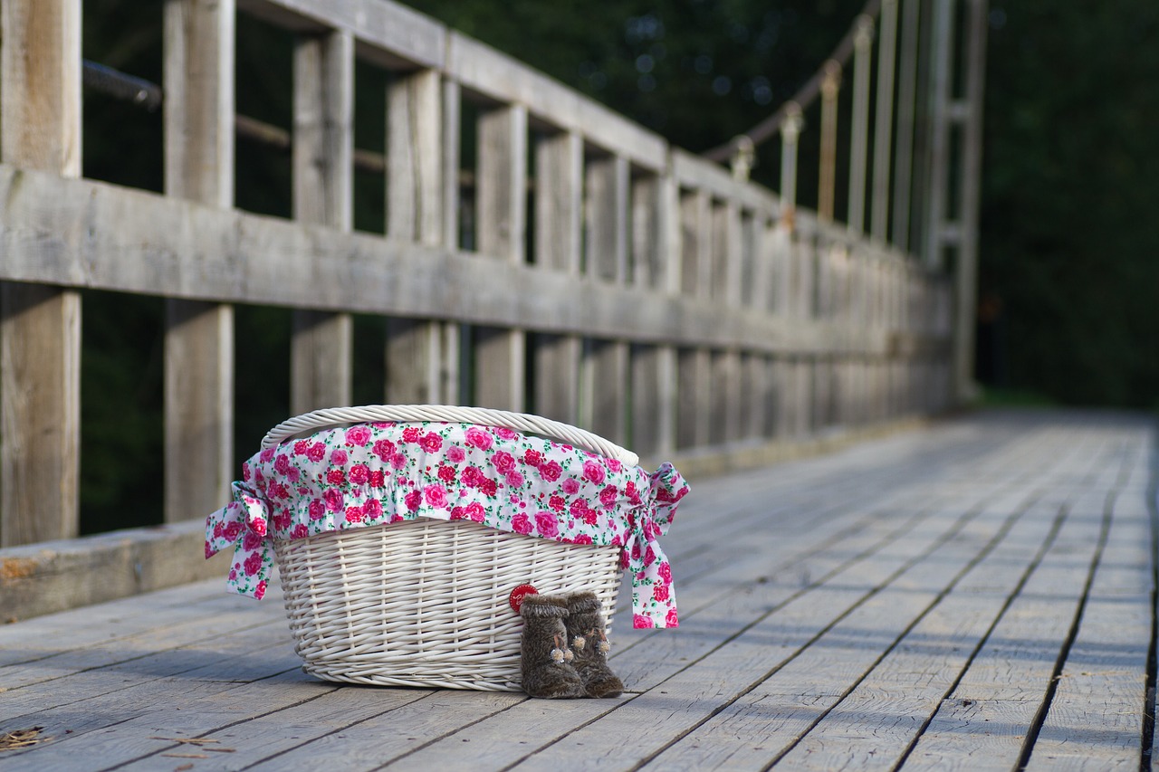 Image - basket flowers color summer