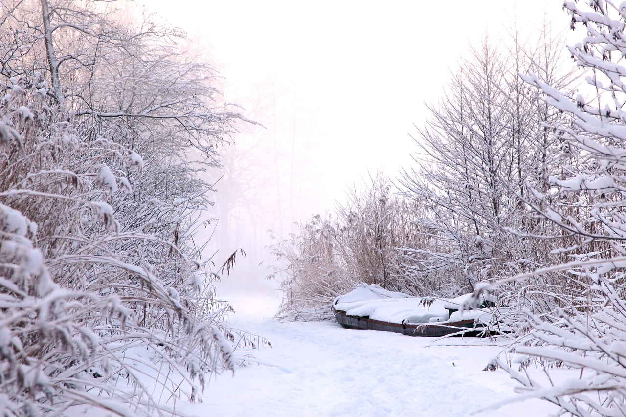 Image - winter snow ice freezing frozen