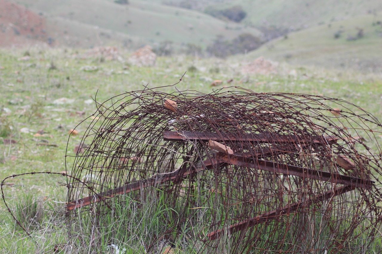 Image - barbed wire rusty fence sharp