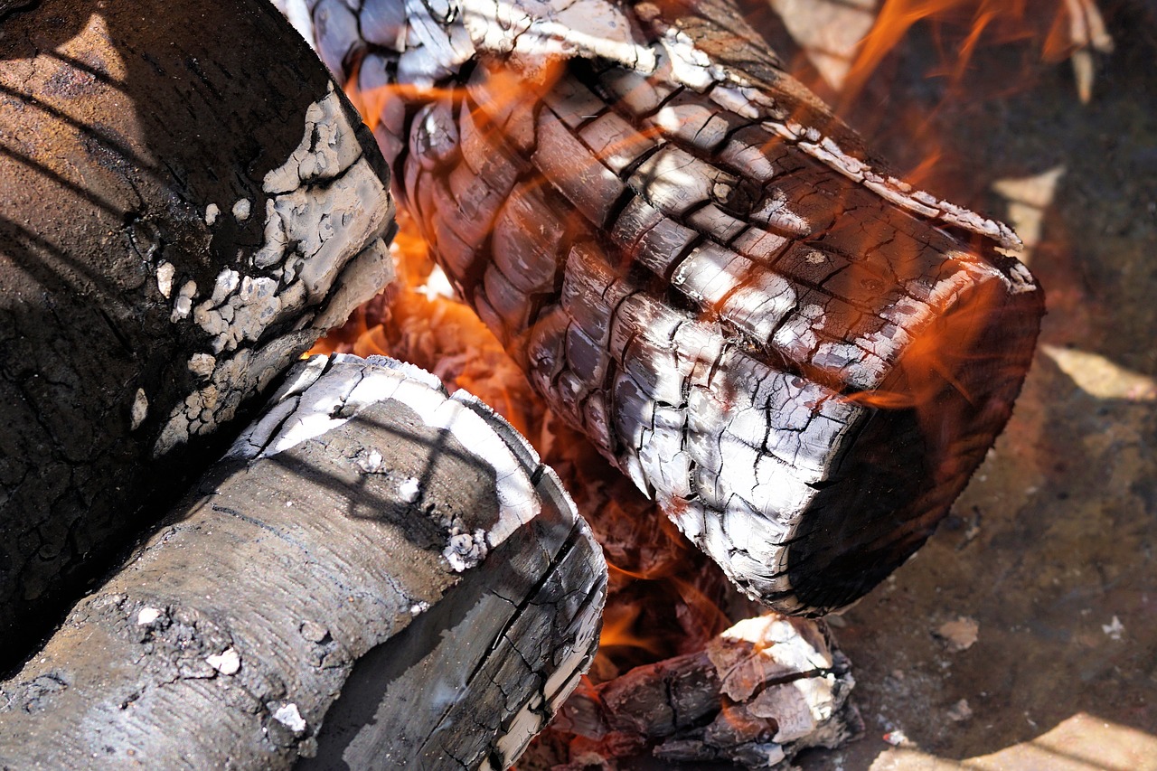 Image - fire flame wood wood fire campfire