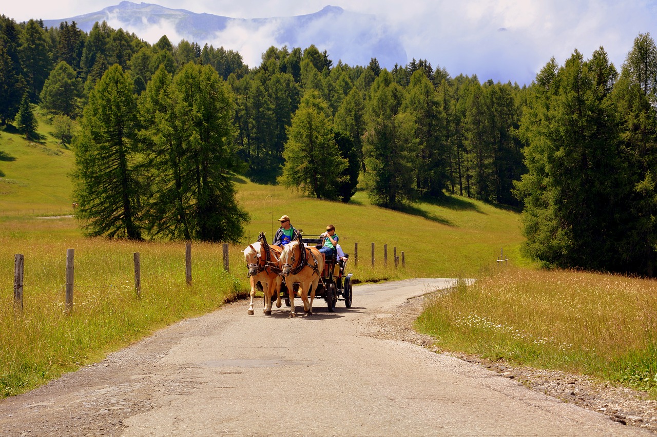Image - horse calash carrozza road forest