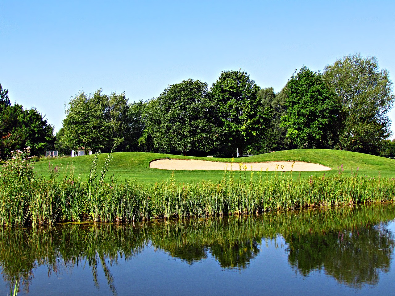 Image - landscape water pond field tree