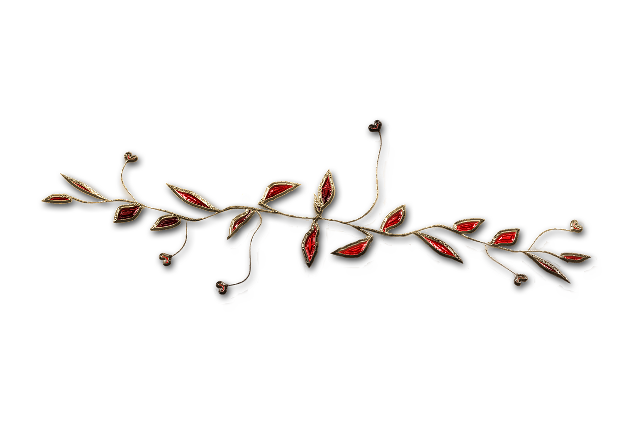 Image - jewelry transparent background ruby