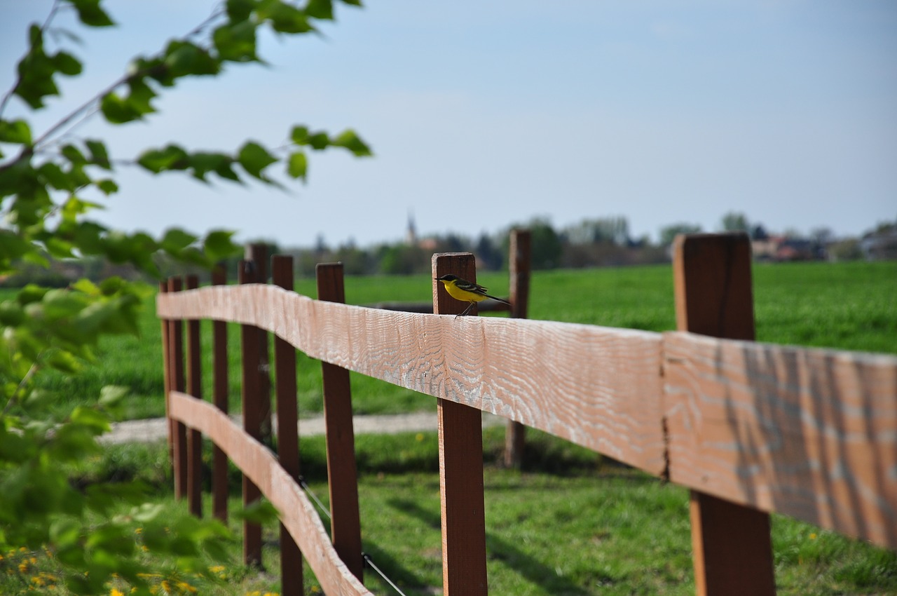 Image - fence bird wood green