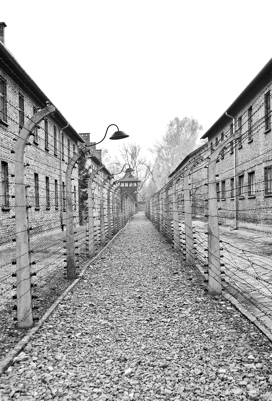 Image - auschwitz camp holocaust