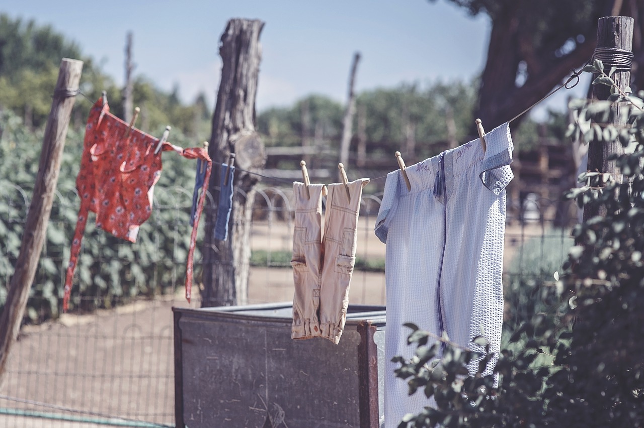 Image - clothesline laundry clean clothes