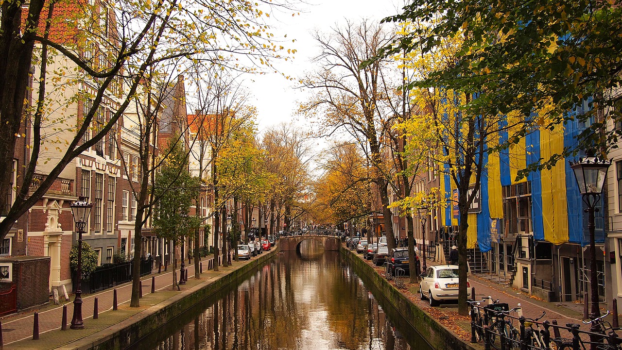 Image - water canal streets trees fall
