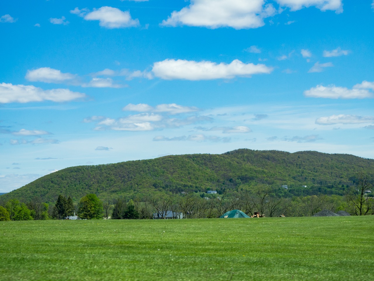 Image - outdoors environment green trees