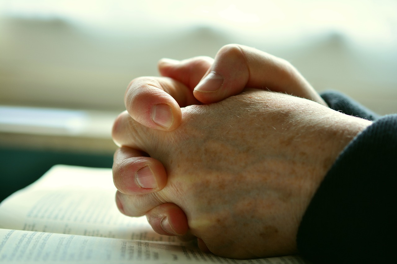 Image - pray hands praying hands prayer